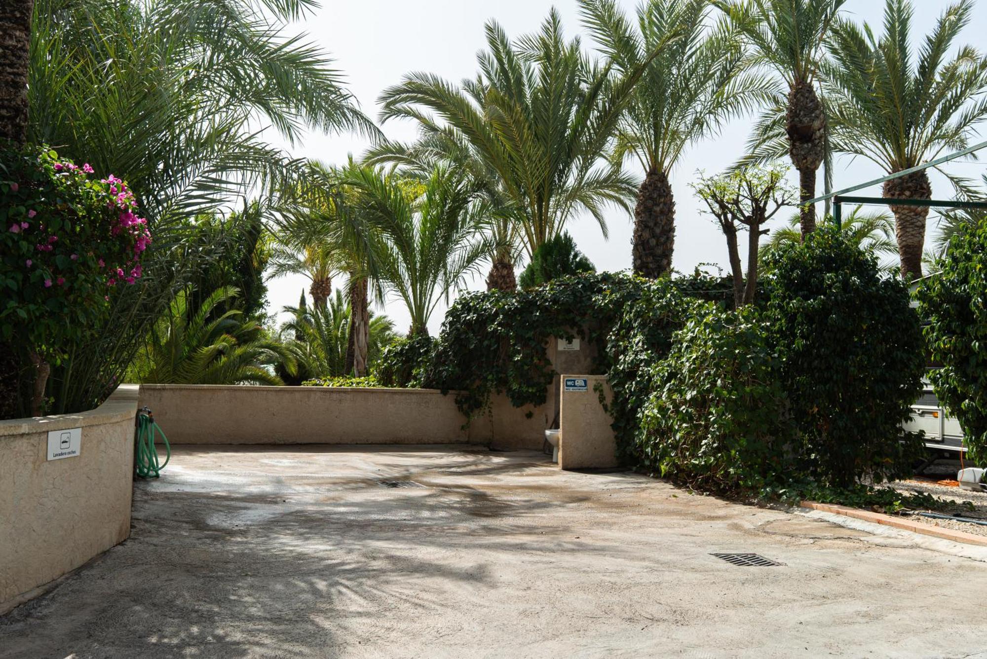 Camping Las Palmeras Crevillente Exterior foto