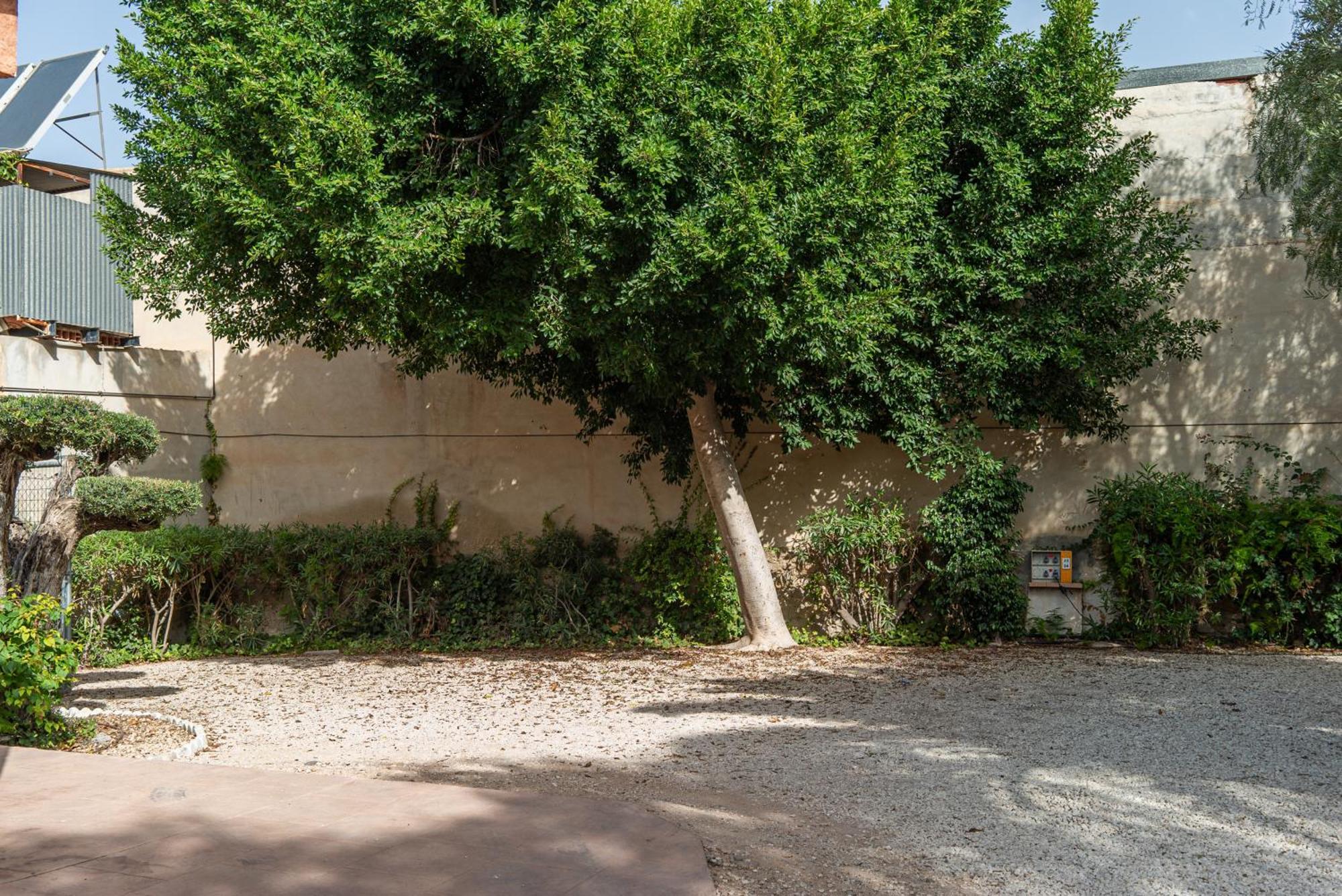 Camping Las Palmeras Crevillente Exterior foto