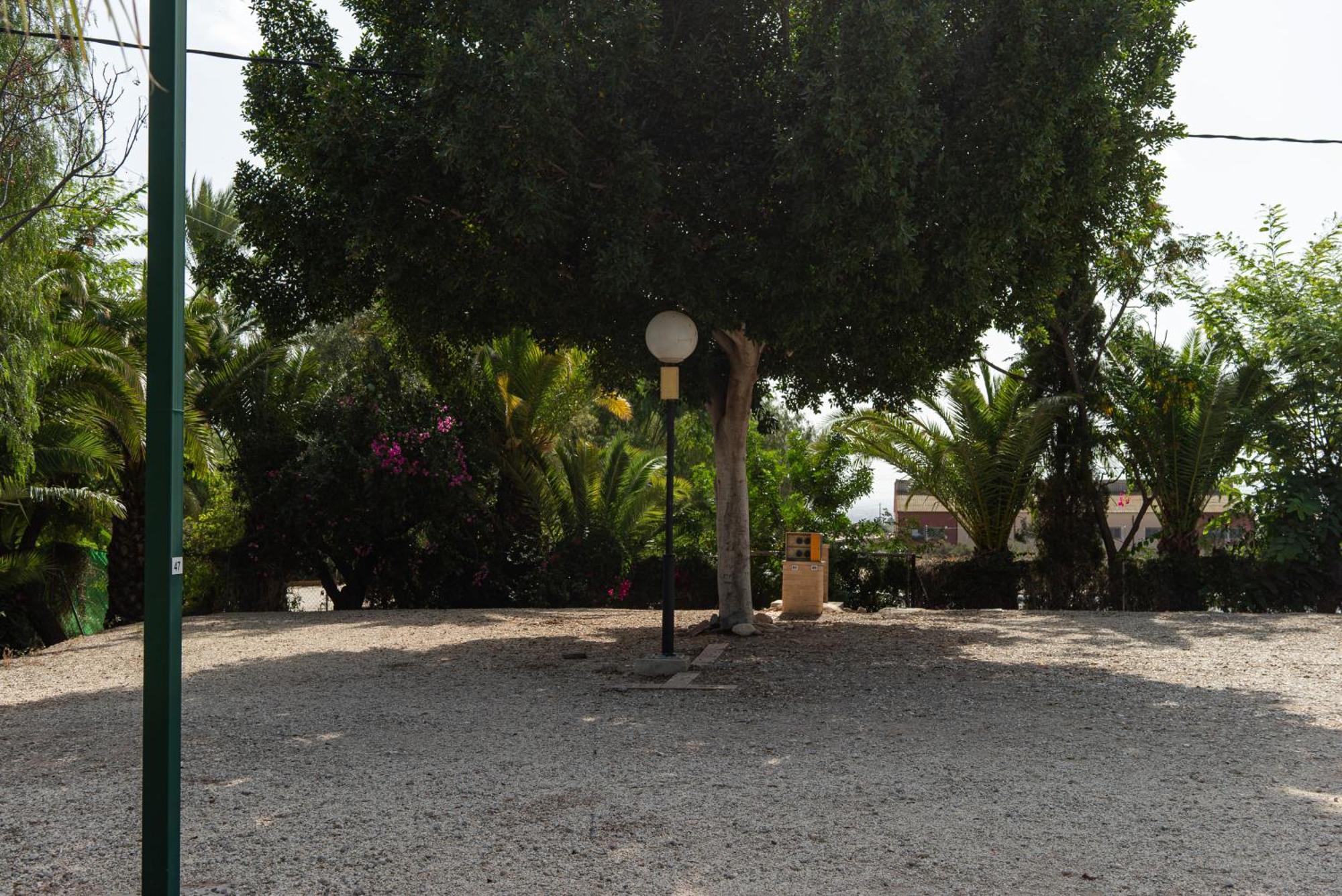 Camping Las Palmeras Crevillente Exterior foto